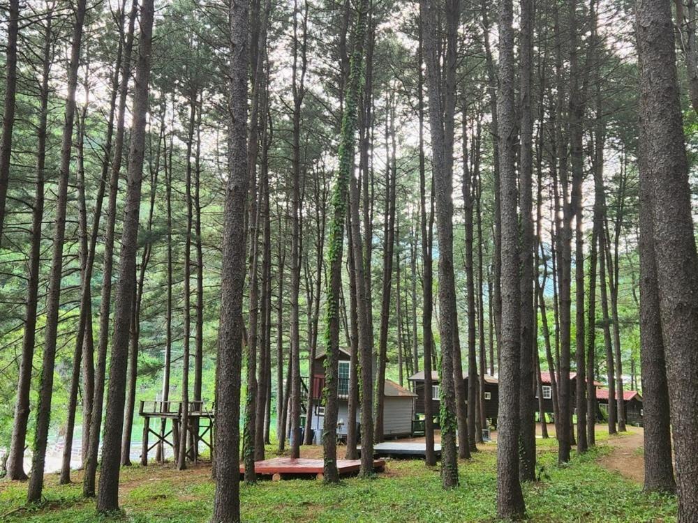 Hongcheon Gongjaksan Recreational Forest Pension Eksteriør bilde