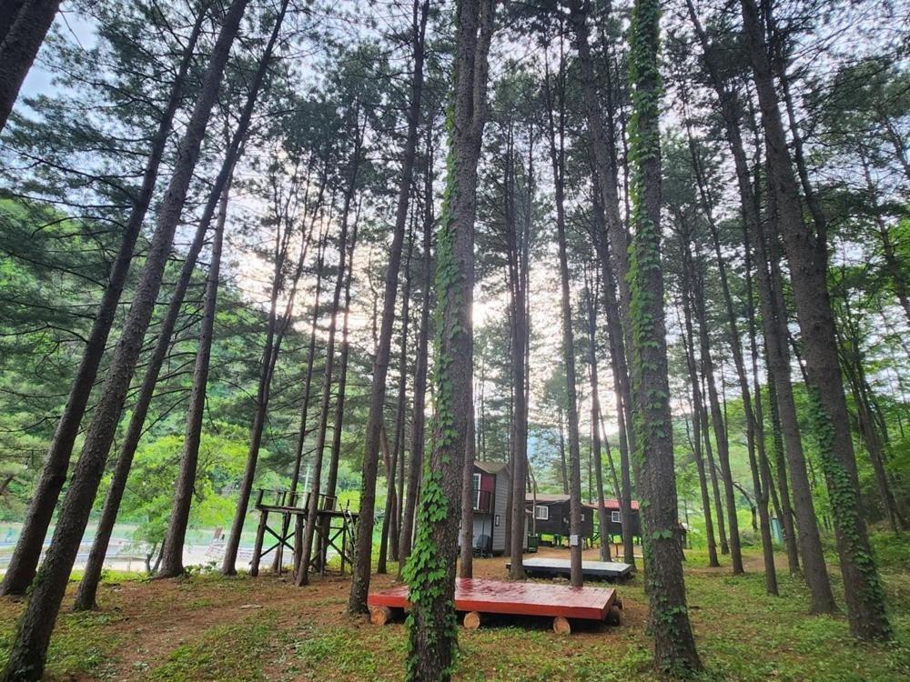 Hongcheon Gongjaksan Recreational Forest Pension Eksteriør bilde