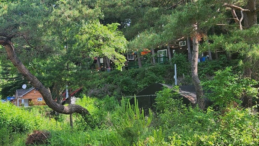 Hongcheon Gongjaksan Recreational Forest Pension Eksteriør bilde